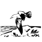 Gaviota argéntea volando dibujo vectorial